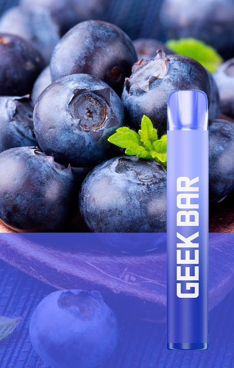Geek Bar 600 Puffs Disposable Vape (Pack of 10) Vape Club UK