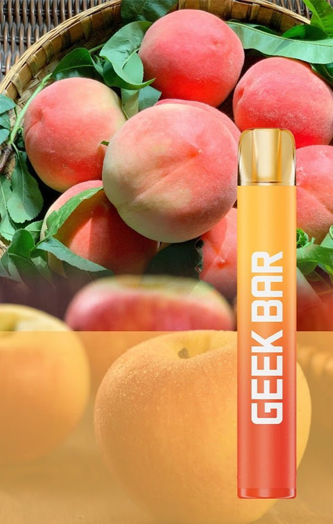 Geek Bar 600 Puffs Disposable Vape (Pack of 10) Vape Club UK